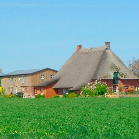 Appartement "Hof Triangel - Whg 2" - Bauernhofurlaub à Riepsdorf Extérieur photo